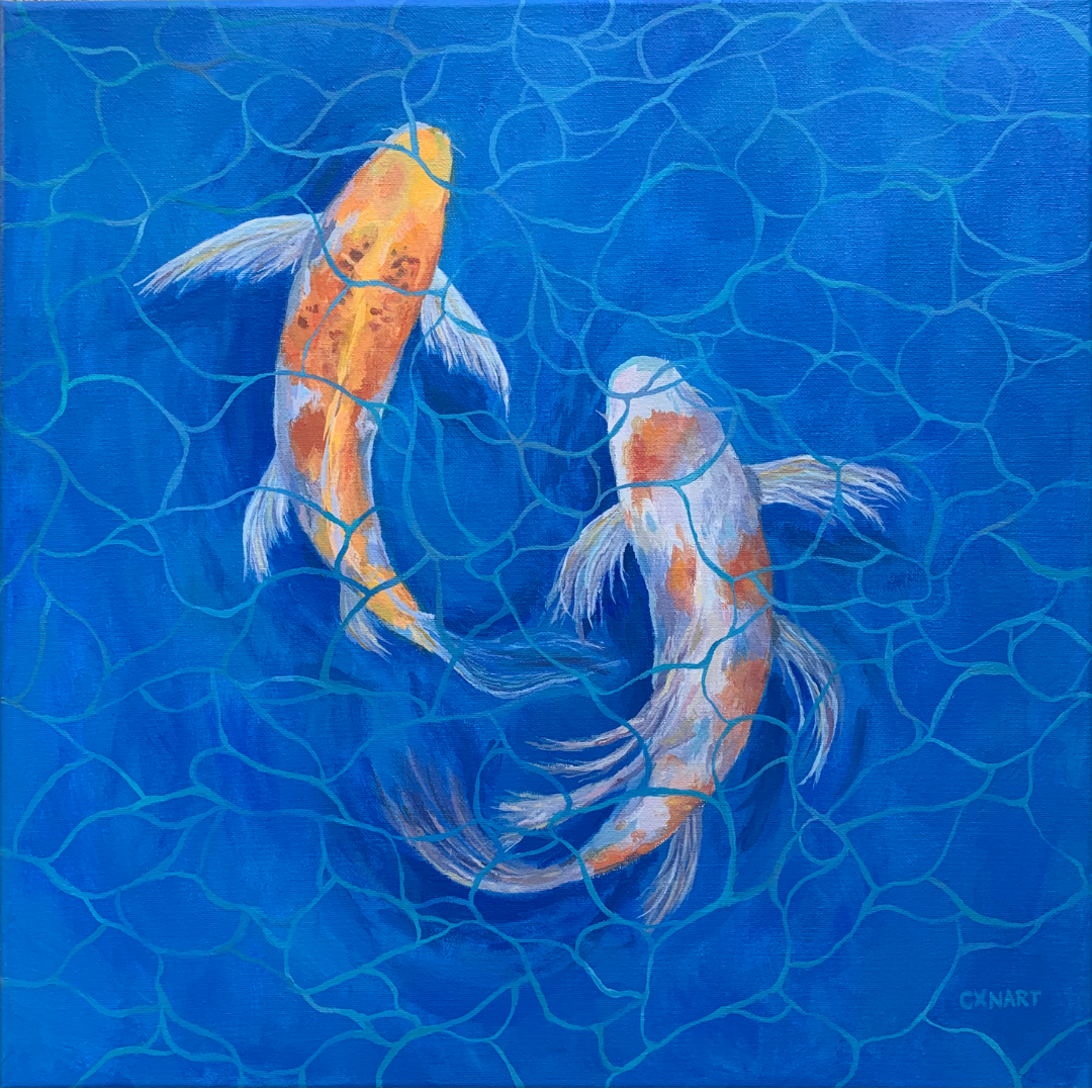koi bois