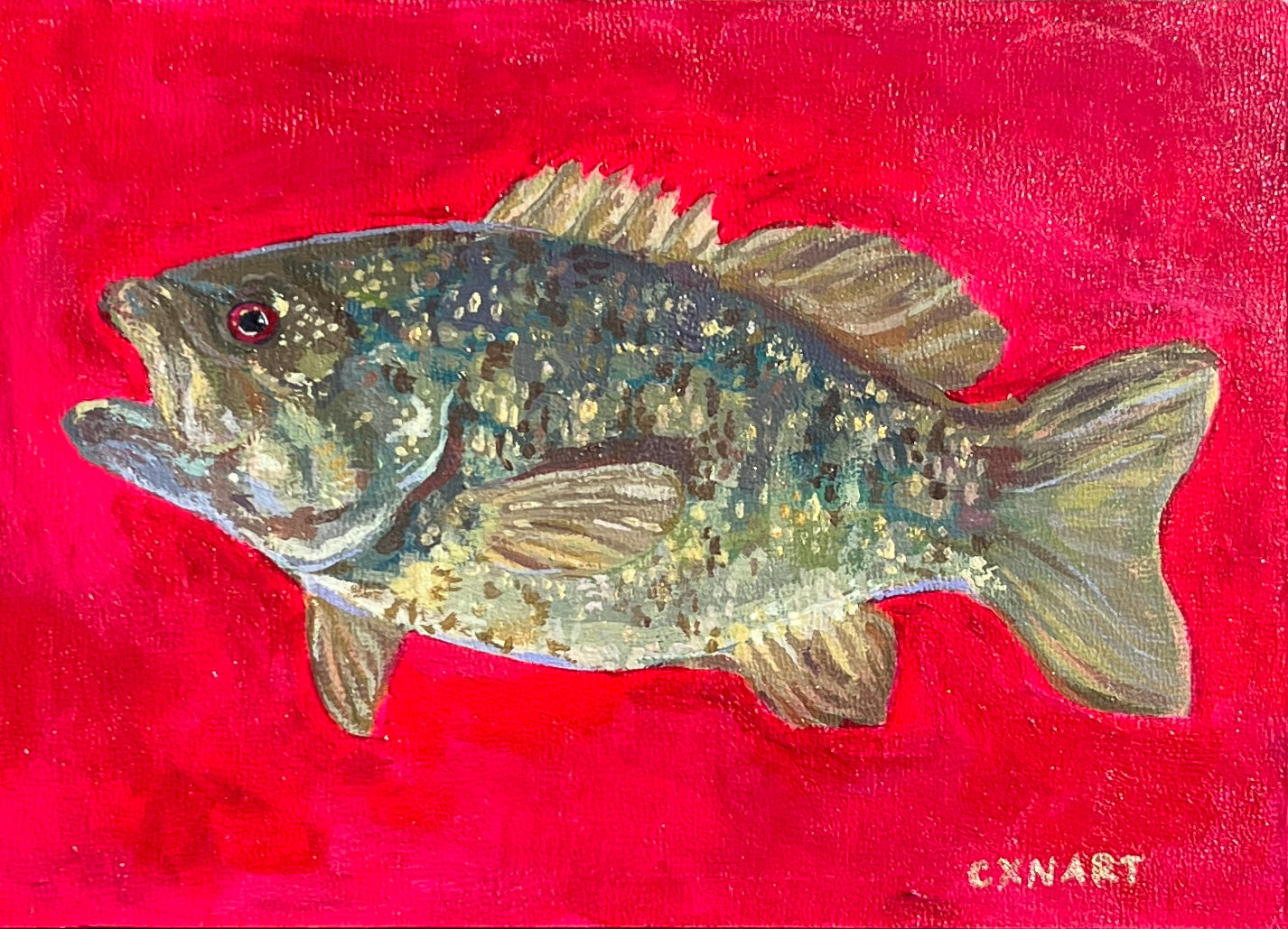 man i love (smallmouthbass) fish