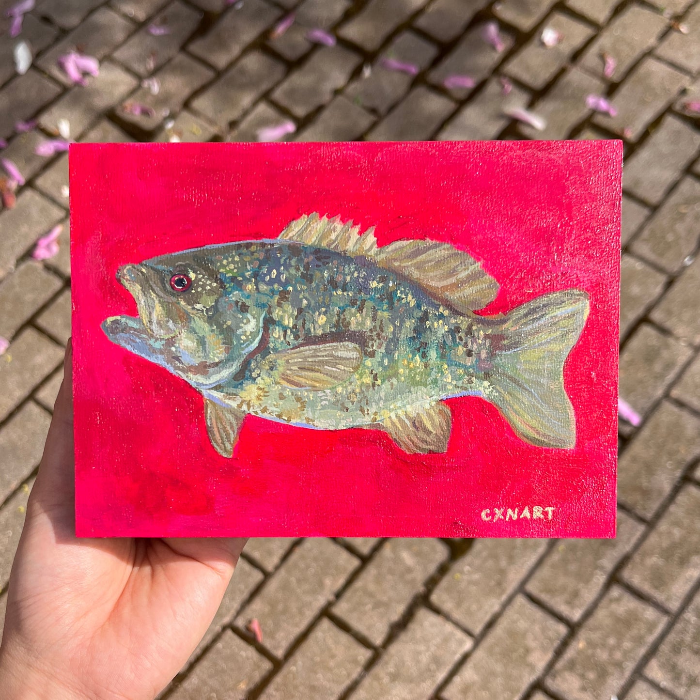 man i love (smallmouthbass) fish